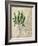 British Ferns II-John Butler-Framed Art Print