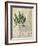 British Ferns II-John Butler-Framed Art Print