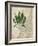 British Ferns II-John Butler-Framed Art Print