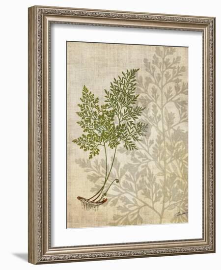 British Ferns IV-John Butler-Framed Art Print