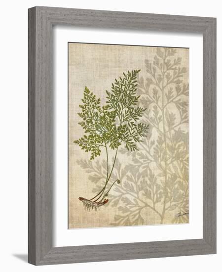 British Ferns IV-John Butler-Framed Art Print