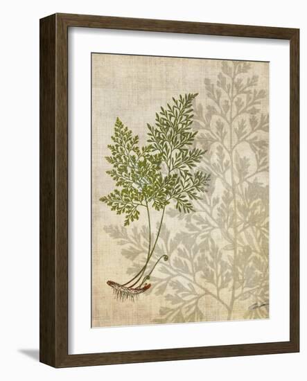 British Ferns IV-John Butler-Framed Art Print