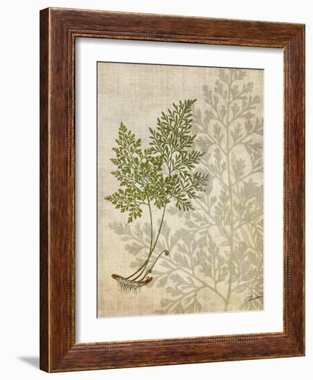 British Ferns IV-John Butler-Framed Art Print