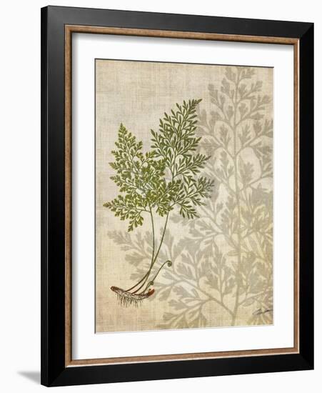 British Ferns IV-John Butler-Framed Art Print