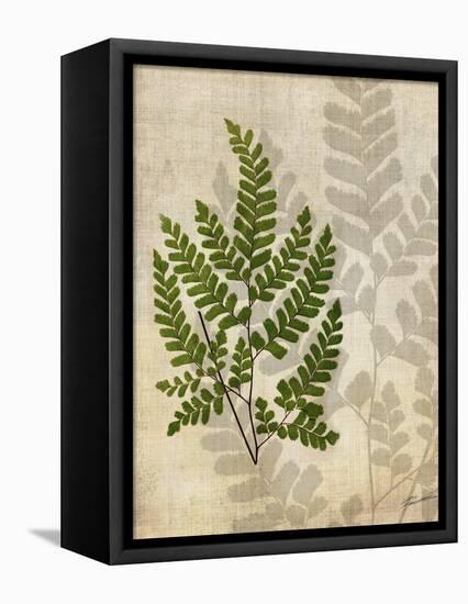 British Ferns VI-John Butler-Framed Stretched Canvas