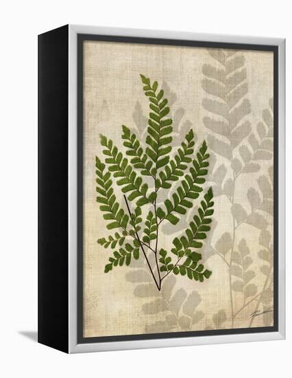 British Ferns VI-John Butler-Framed Stretched Canvas