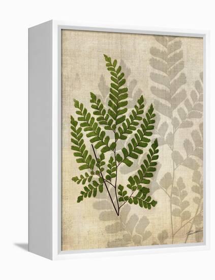 British Ferns VI-John Butler-Framed Stretched Canvas