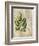 British Ferns VI-John Butler-Framed Art Print