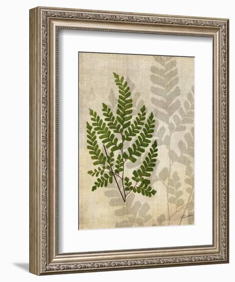 British Ferns VI-John Butler-Framed Art Print