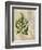 British Ferns VI-John Butler-Framed Art Print