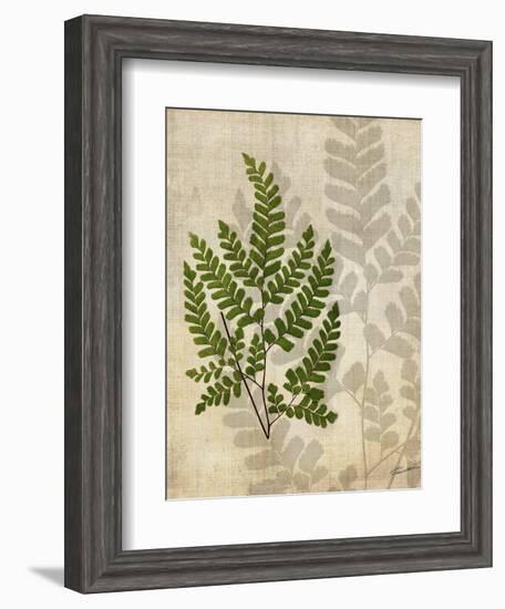 British Ferns VI-John Butler-Framed Art Print