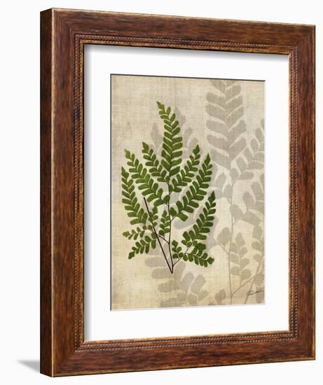 British Ferns VI-John Butler-Framed Art Print