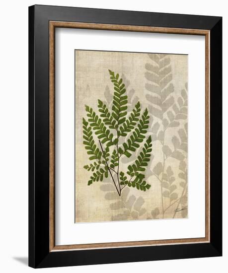 British Ferns VI-John Butler-Framed Art Print