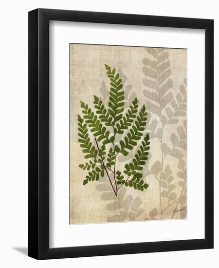 British Ferns VI-John Butler-Framed Art Print