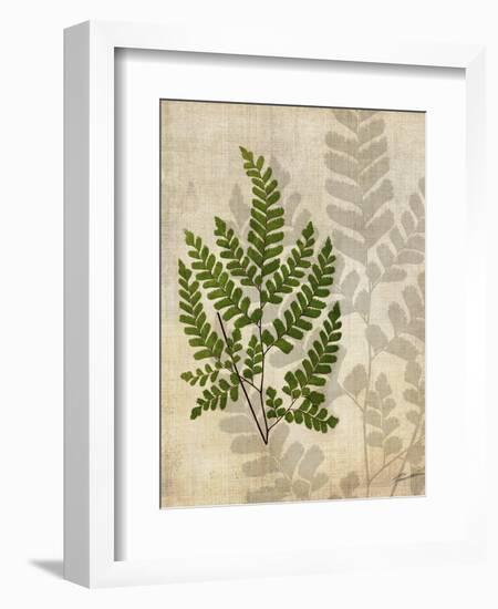 British Ferns VI-John Butler-Framed Art Print