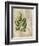 British Ferns VI-John Butler-Framed Art Print