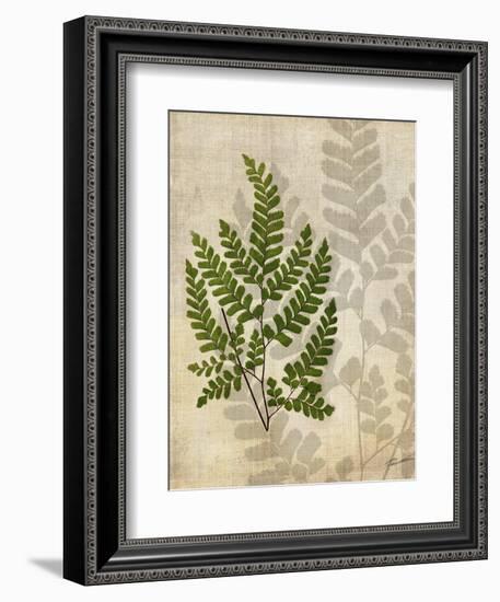 British Ferns VI-John Butler-Framed Art Print