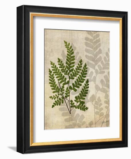 British Ferns VI-John Butler-Framed Art Print