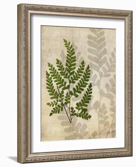 British Ferns VI-John Butler-Framed Art Print