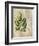 British Ferns VI-John Butler-Framed Art Print