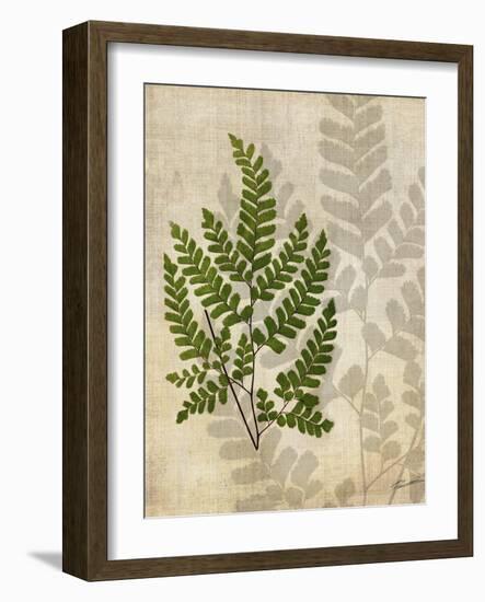 British Ferns VI-John Butler-Framed Art Print