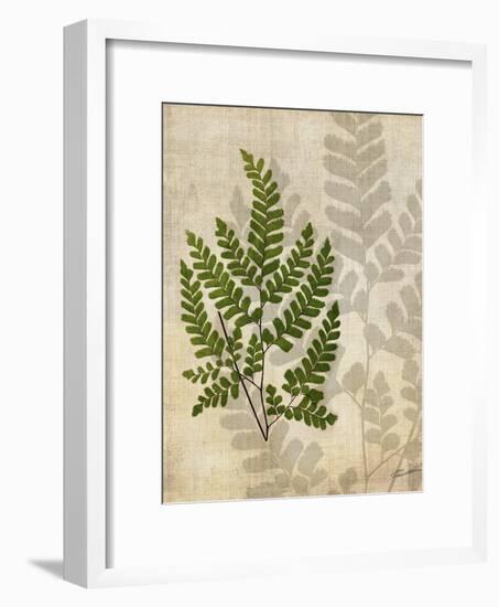 British Ferns VI-John Butler-Framed Art Print