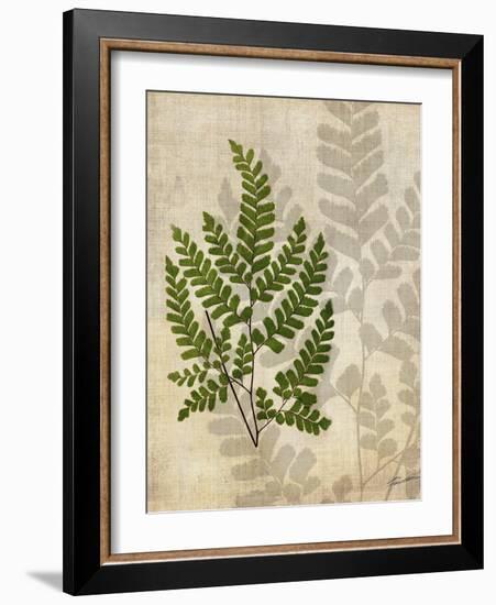 British Ferns VI-John Butler-Framed Art Print