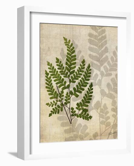 British Ferns VI-John Butler-Framed Art Print