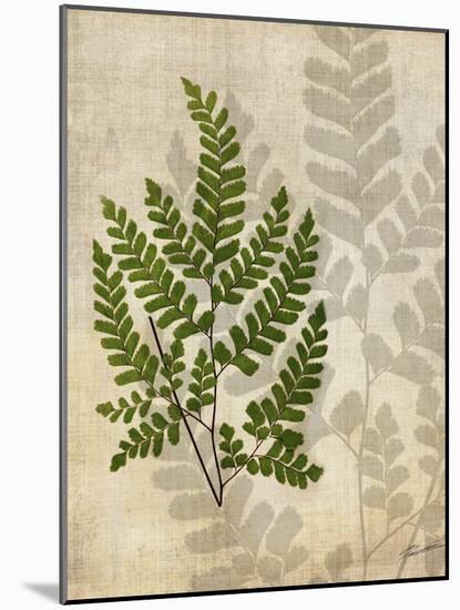 British Ferns VI-John Butler-Mounted Art Print