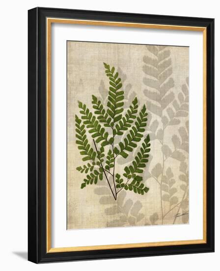 British Ferns VI-John Butler-Framed Art Print