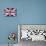 British Flag-Whoartnow-Mounted Giclee Print displayed on a wall