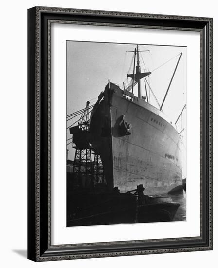 British Freighter Dorset Relieved of Cargo, Royal Albert Docks, Thames River-Carl Mydans-Framed Photographic Print