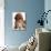 British Kitten  and Dog Dachshund-Lilun-Photographic Print displayed on a wall