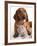 British Kitten  and Dog Dachshund-Lilun-Framed Photographic Print