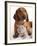 British Kitten  and Dog Dachshund-Lilun-Framed Photographic Print