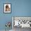 British Kitten  and Dog Dachshund-Lilun-Framed Photographic Print displayed on a wall