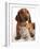 British Kitten  and Dog Dachshund-Lilun-Framed Photographic Print