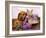 British Kitten Rare Color (Lilac) And Puppy Red Dachshund, Cat And Dog-Lilun-Framed Photographic Print