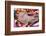 British Kitten Rare Color (Lilac) Sleeping-Lilun-Framed Photographic Print