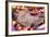 British Kitten Rare Color (Lilac) Sleeping-Lilun-Framed Photographic Print