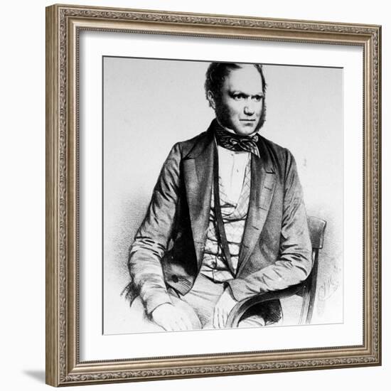 British Naturalist Advanced Theory of Evolution Charles Darwin Portrayed in Lithograph by Maguire-null-Framed Premium Photographic Print