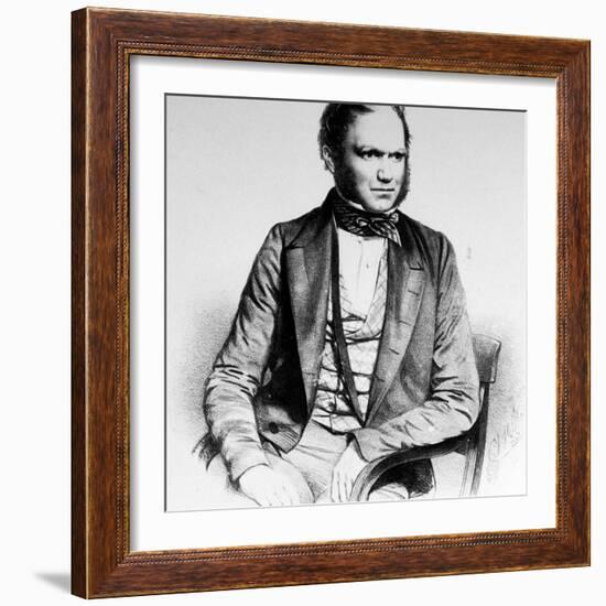 British Naturalist Advanced Theory of Evolution Charles Darwin Portrayed in Lithograph by Maguire-null-Framed Premium Photographic Print