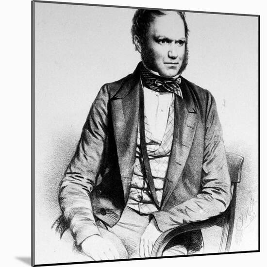 British Naturalist Advanced Theory of Evolution Charles Darwin Portrayed in Lithograph by Maguire-null-Mounted Premium Photographic Print