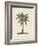 British Palms I-Naomi McCavitt-Framed Art Print