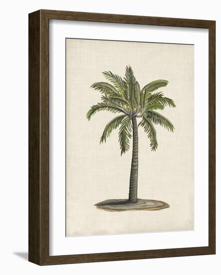 British Palms I-Naomi McCavitt-Framed Art Print