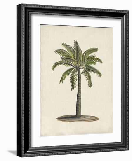 British Palms I-Naomi McCavitt-Framed Art Print