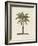 British Palms I-Naomi McCavitt-Framed Art Print