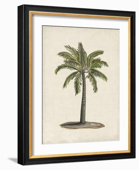 British Palms I-Naomi McCavitt-Framed Art Print