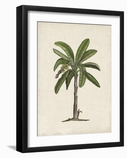 British Palms II-Naomi McCavitt-Framed Art Print
