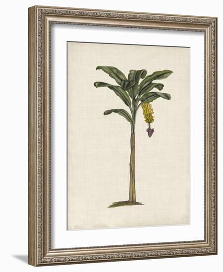 British Palms III-Naomi McCavitt-Framed Art Print